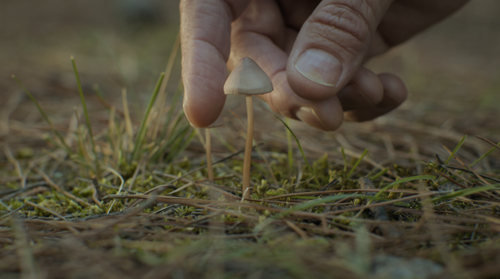 Cinematic frame from a tourism film in Agios Nikolaos Crete by The Film Tailors, showcasing seasonal landscapes and destination storytelling