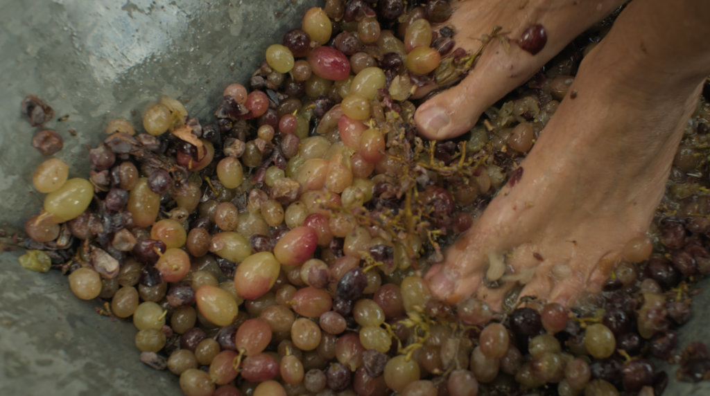 Cinematic frame from a tourism film in Agios Nikolaos Crete by The Film Tailors, showcasing seasonal landscapes and destination storytelling