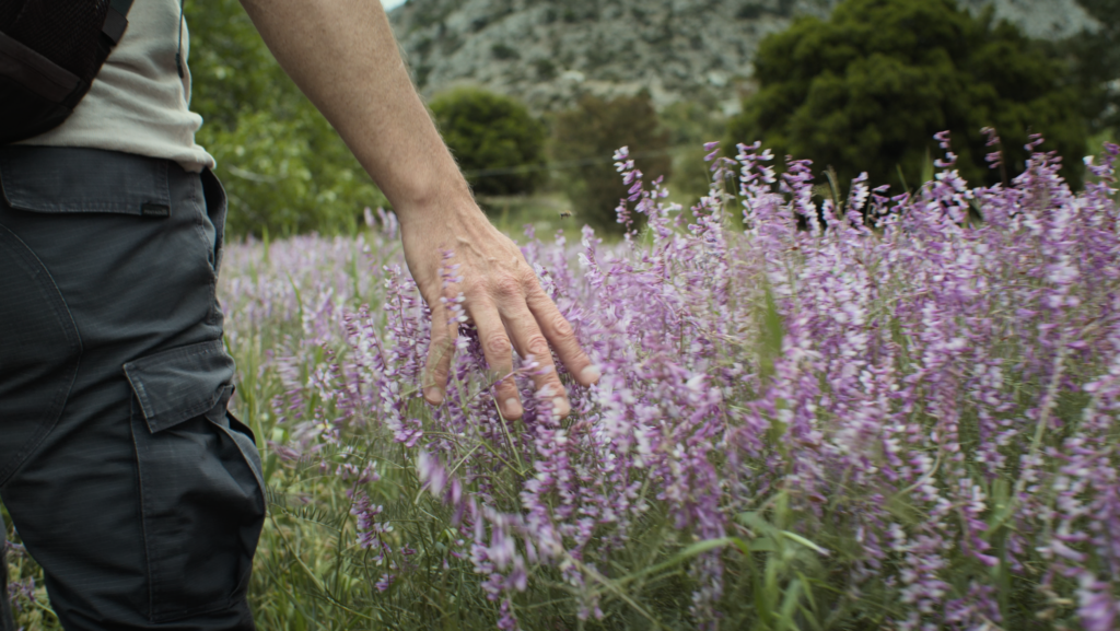 Cinematic frame from a tourism film in Agios Nikolaos Crete by The Film Tailors, showcasing seasonal landscapes and destination storytelling
