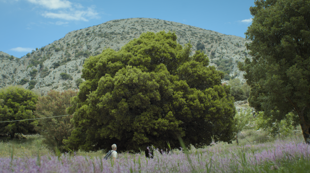 Cinematic frame from a travel film in Agios Nikolaos Crete by The Film Tailors, featuring a traveler experiencing the region across seasons