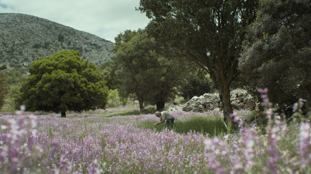 Cinematic frame from a travel film in Agios Nikolaos Crete by The Film Tailors, featuring a traveler experiencing the region across seasons